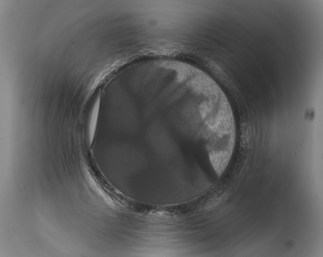 X0000114640634200911101259