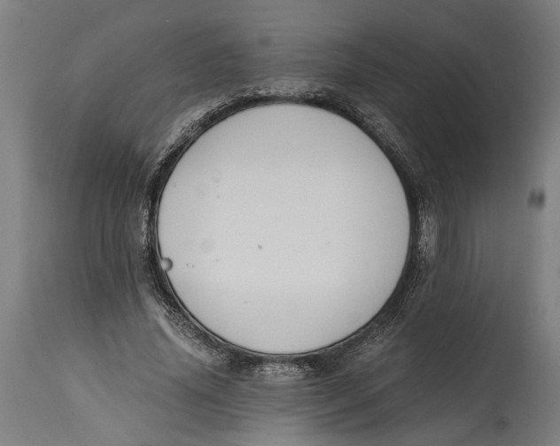 X0000114640636200911101259