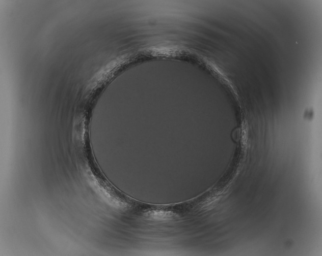 X0000114640637200911101259