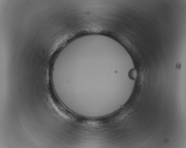 X0000114640638200911101259