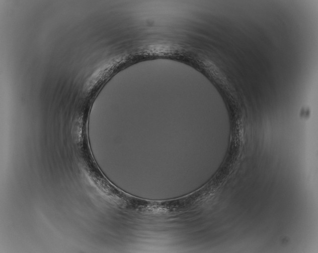 X0000114640640200911101259