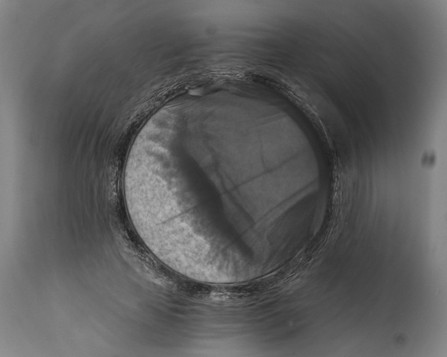 X0000114640641200911101259