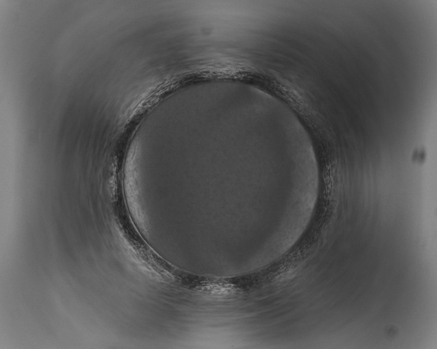 X0000114640642200911101259