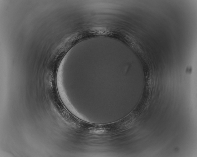 X0000114640643200911101259