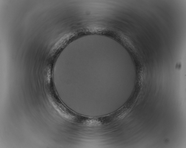 X0000114640644200911101259