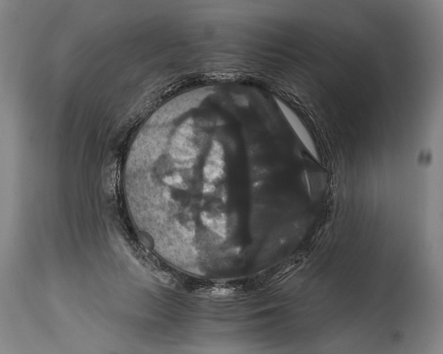 X0000114640647200911101259