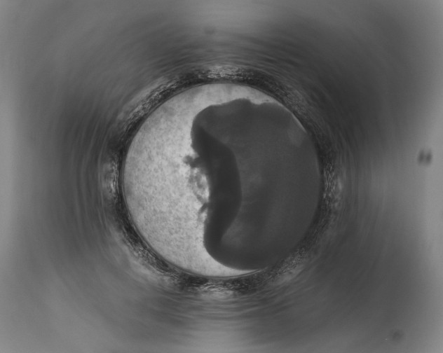 X0000114640648200911101259