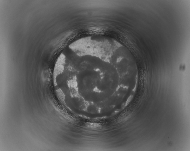X0000114640649200911101259