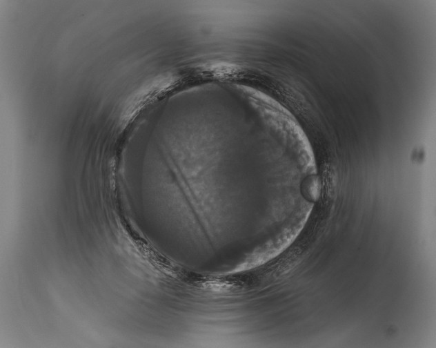 X0000114640650200911101259