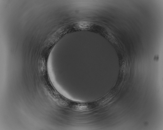 X0000114640651200911101259