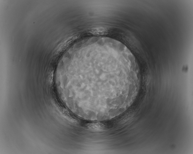 X0000114640652200911101259
