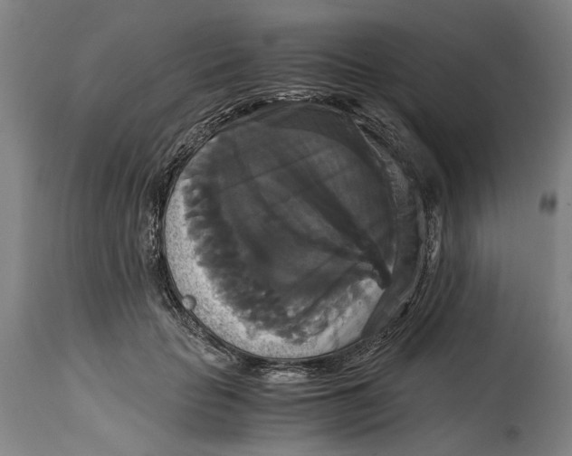 X0000114640653200911101259