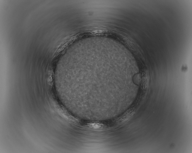 X0000114640654200911101259