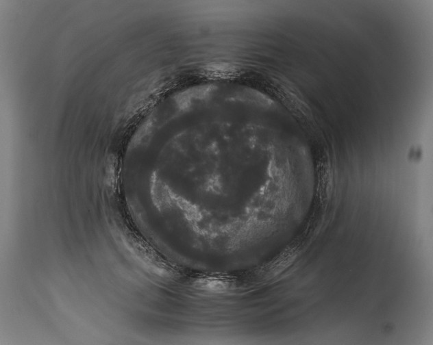 X0000114640655200911101259