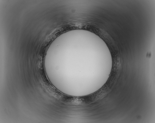 X0000114640656200911101259