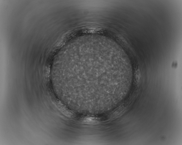 X0000114640657200911101259