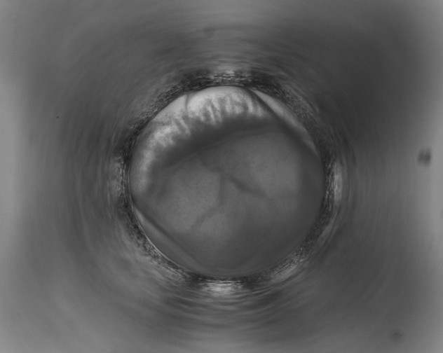 X0000114640659200911101259