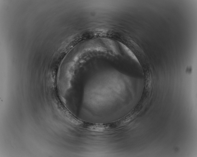 X0000114640661200911101259