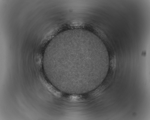 X0000114640662200911101259