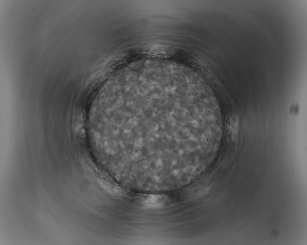 X0000114640663200911101259