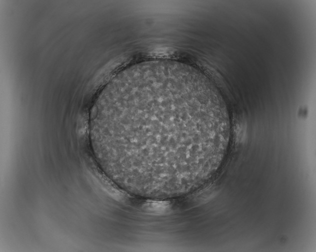 X0000114640665200911101259