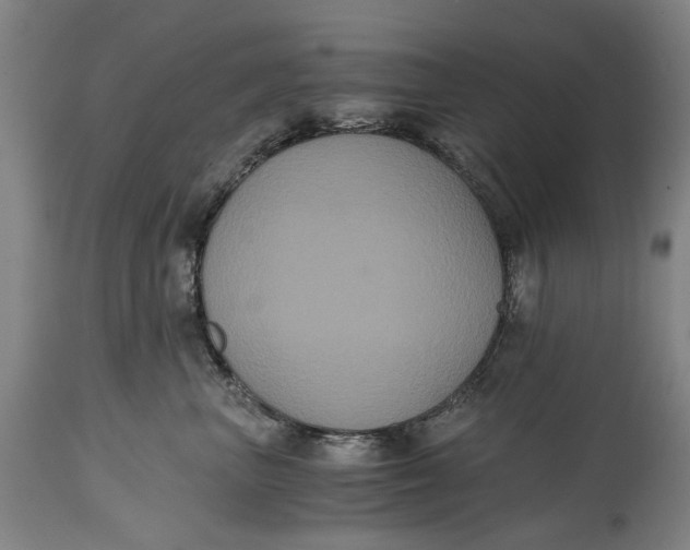 X0000114640667200911101259