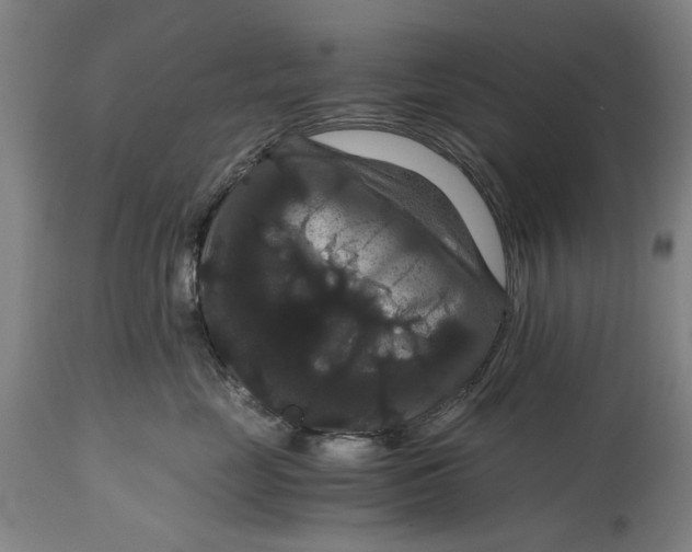 X0000114640669200911101259