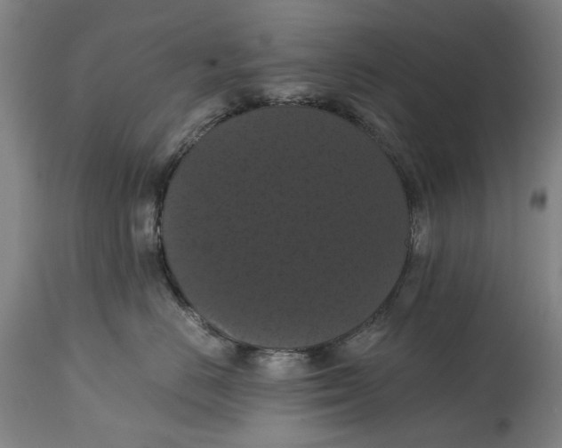 X0000114640670200911101259