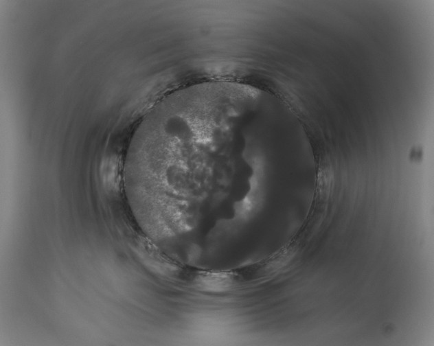 X0000114640671200911101259
