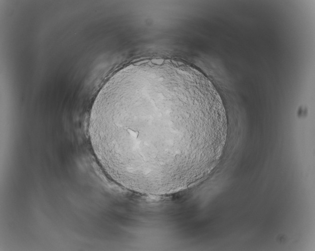 X0000114640672200911101259