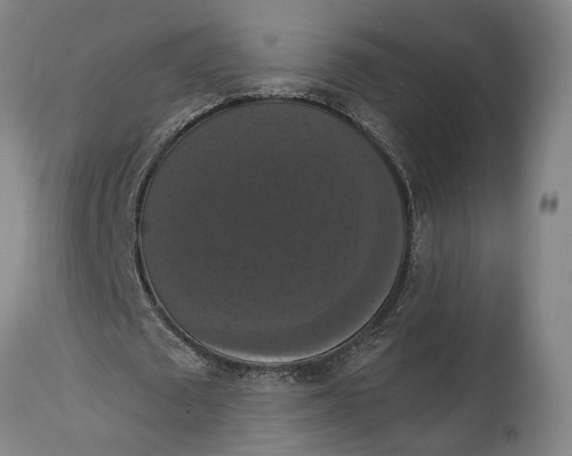 X0000114640673200911101259