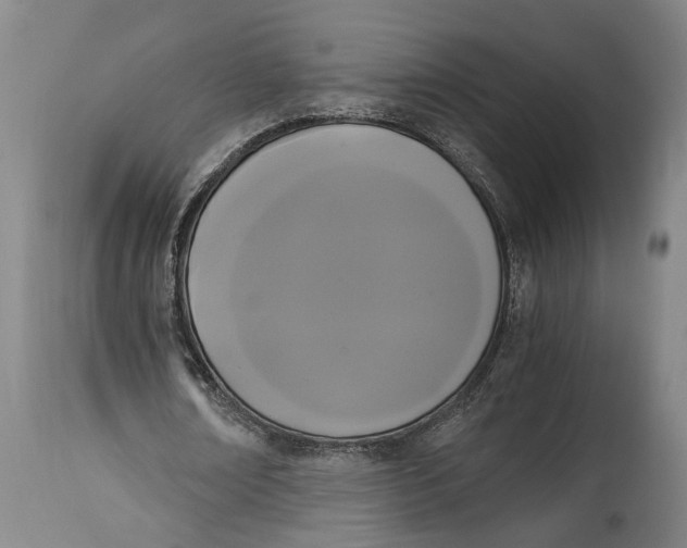 X0000114640674200911101259