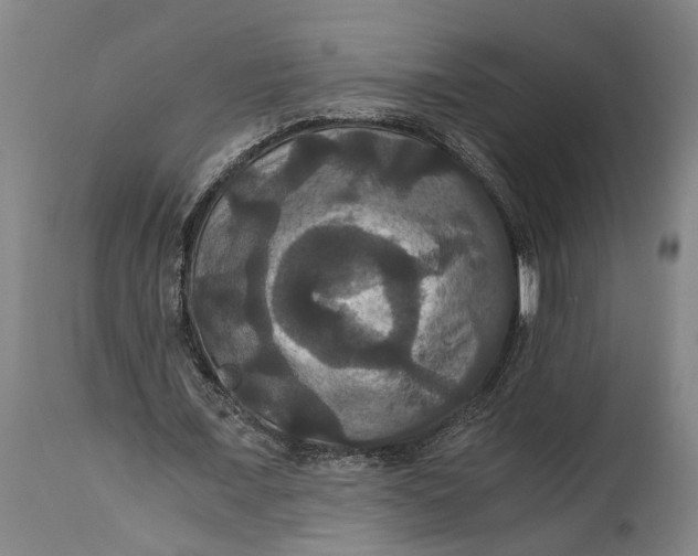 X0000114640675200911101259