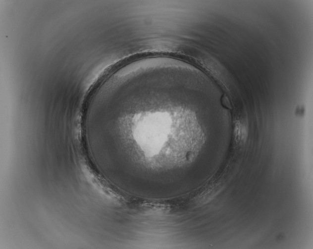 X0000114640676200911101259