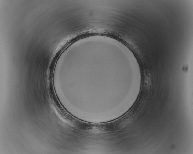 X0000114640678200911101259