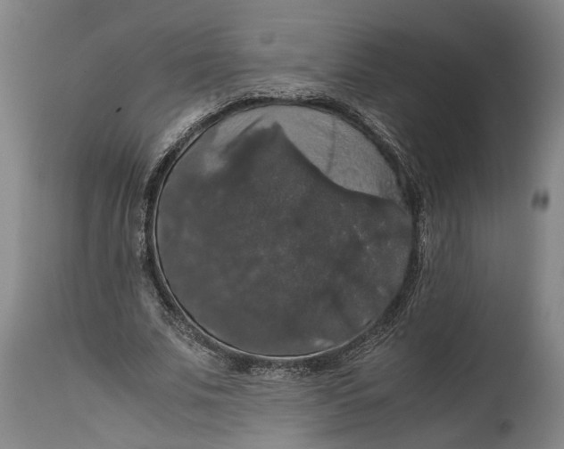 X0000114640679200911101259
