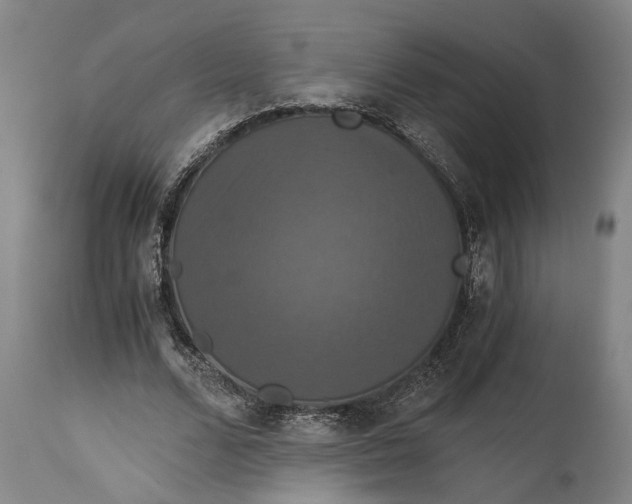 X0000114640680200911101259