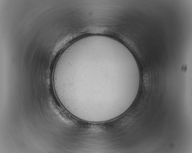 X0000114640682200911101259