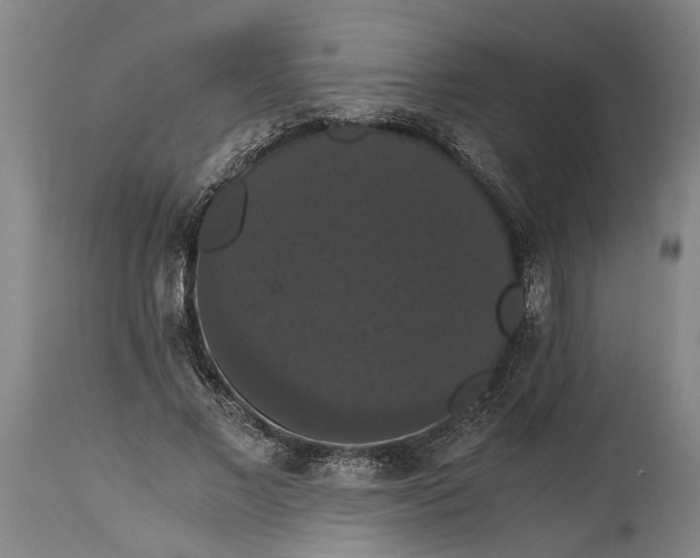 X0000114640685200911101259