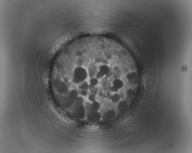 X0000114640687200911101259