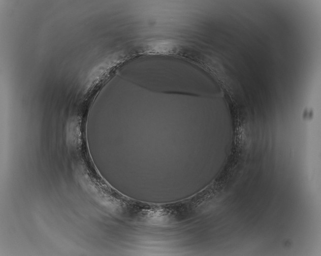 X0000114640688200911101259