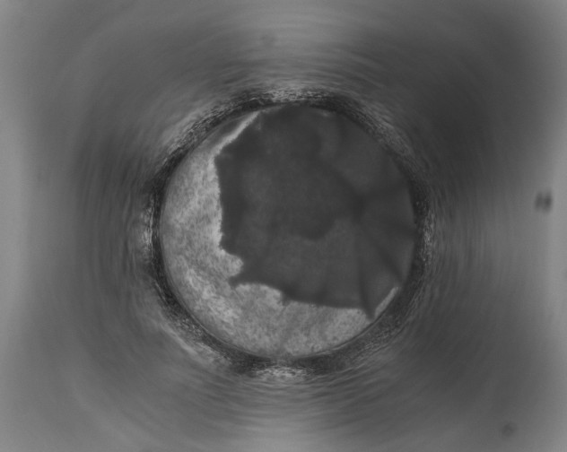 X0000114640691200911101259