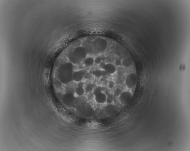 X0000114640695200911101258