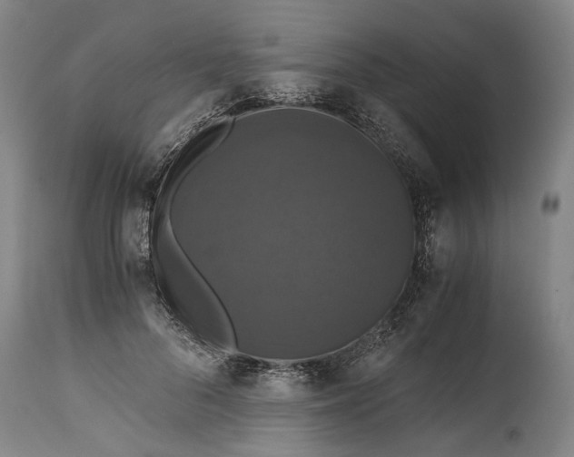 X0000114640696200911101258