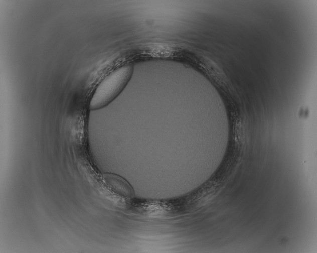 X0000114640697200911101258