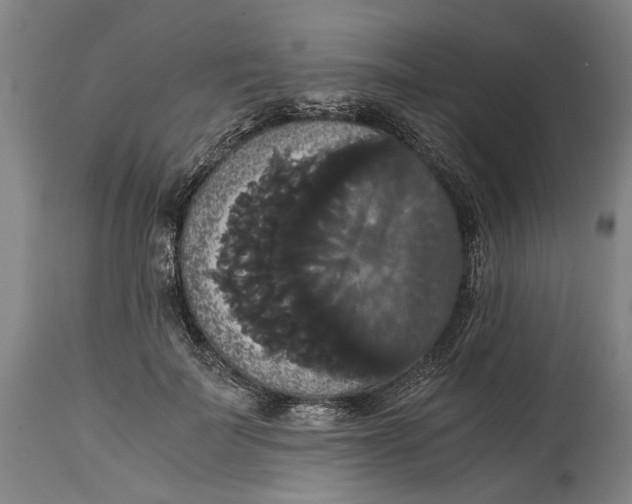 X0000114640699200911101258