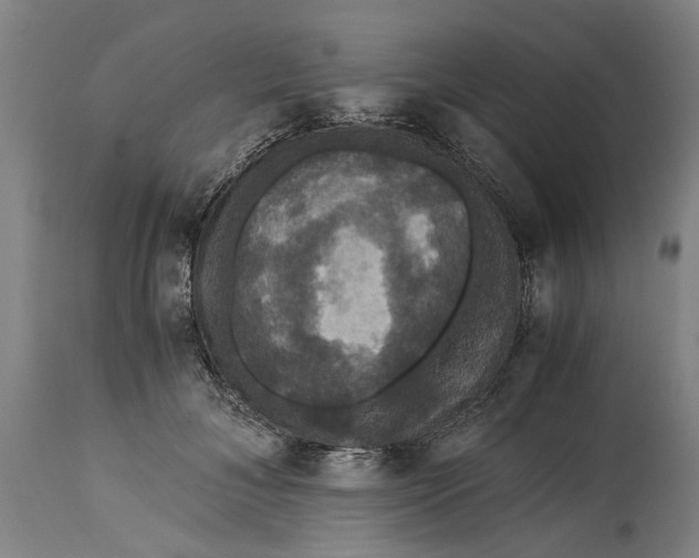 X0000114640700200911101258