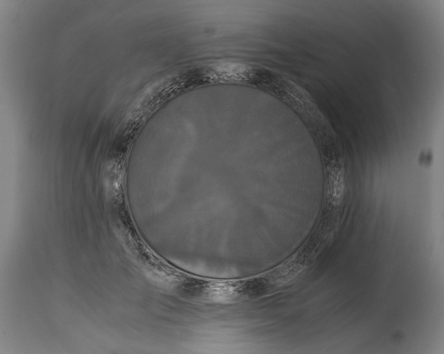 X0000114640701200911101258