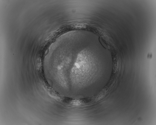 X0000114640704200911101258