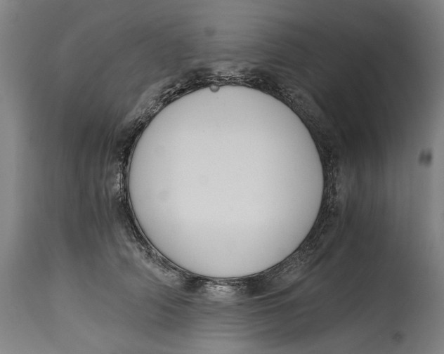 X0000114640706200911101258